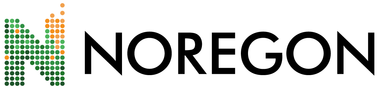 Noregon Systems